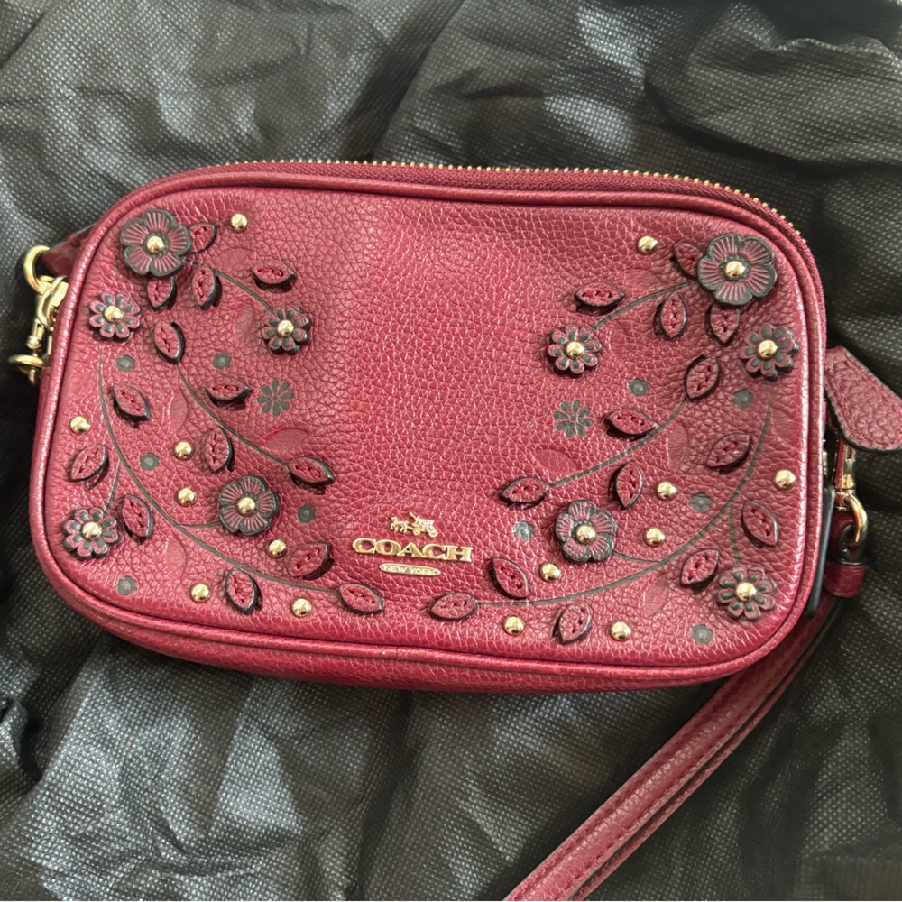 Coach crossbody in great fall color